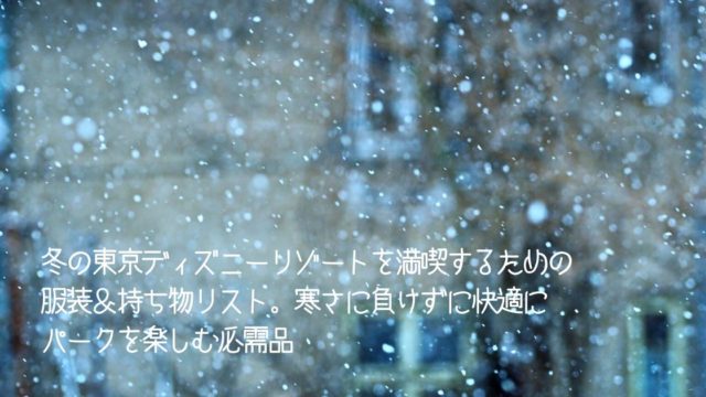 冬の東京ディズニーリゾートを満喫するための服装 持ち物リスト 寒さに負けずに快適にパークを楽しむ必需品 Dのマナビヤ